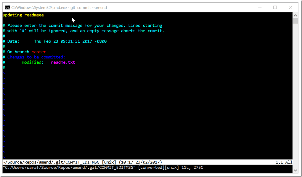 vi editor - one of the scariest images a Windows user will ever see